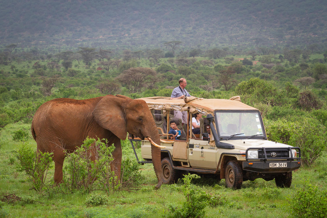 Game Drives In Samburu National Park With Elephant Bedroom Camp